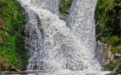 Commento al vangelo di domenica 9 novembre 2025