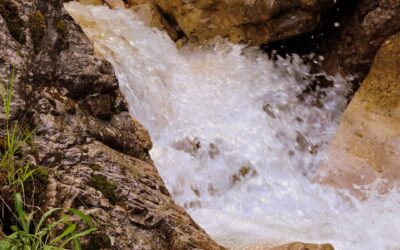 Commento al vangelo di domenica 8 marzo 2026 – III quaresima / A