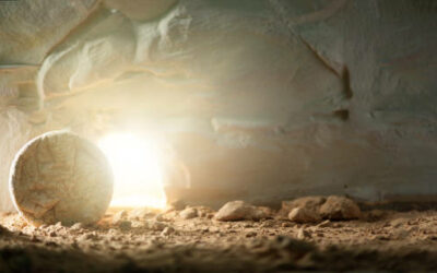 Commento al vangelo della notte di Pasqua 2026