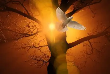 Commento al vangelo di domenica 10 maggio – VI di Pasqua – A