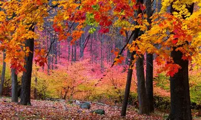 Commento al vangelo di domenica 11 ottobre – 28 / A